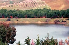 Lago di Guardiafiera in der Region Molise